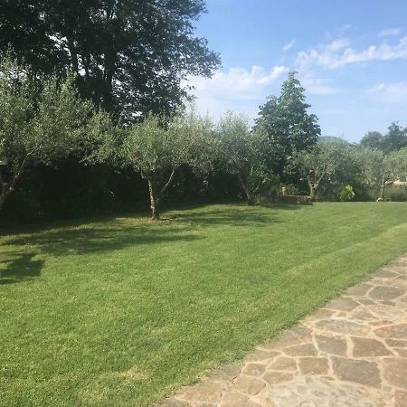 Apartments Vidovic Cezarji Εξωτερικό φωτογραφία
