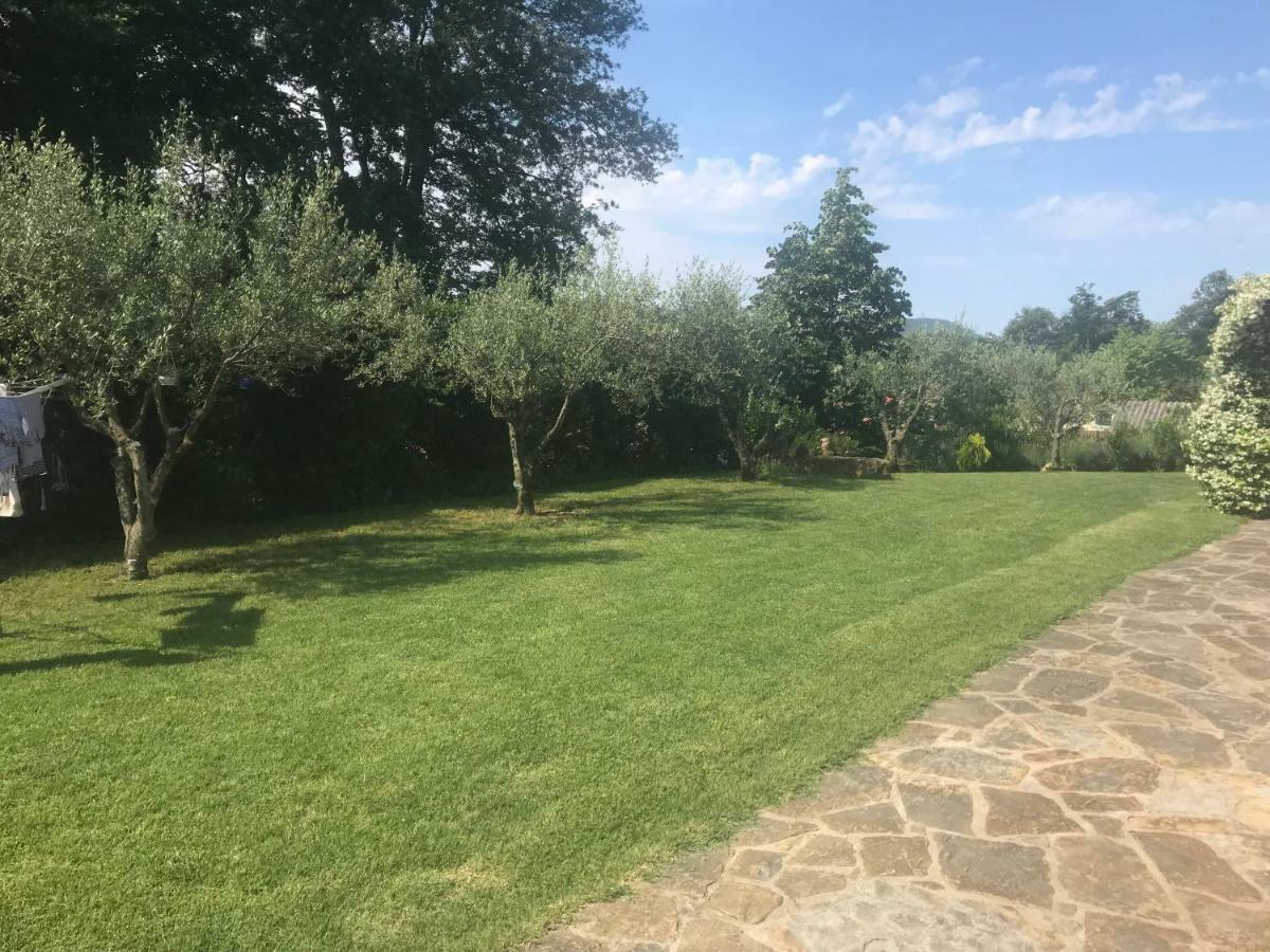 Apartments Vidovic Cezarji Εξωτερικό φωτογραφία